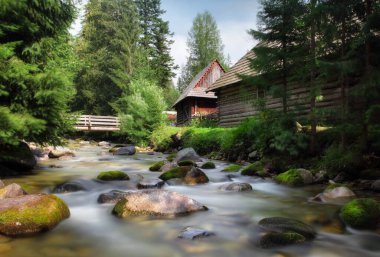 Buildings of folk architecture in the natural environment of the Orava Village Museum.