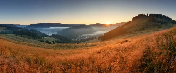 Landschaft Mit Sonne Wiese Wald Und Gebirge — Stockfoto