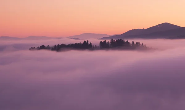 Brouillard Marin Dans Lumière Rose Est Très Beau Fabuleux Vague — Photo