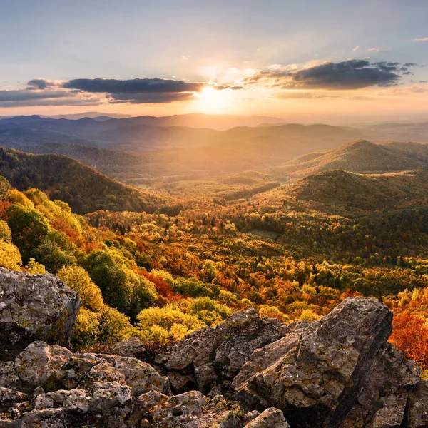 Günbatımı Manzarası Yüksek Tepeleri Vadisi Ile Sonbahar Çam Ormanı Altında — Stok fotoğraf