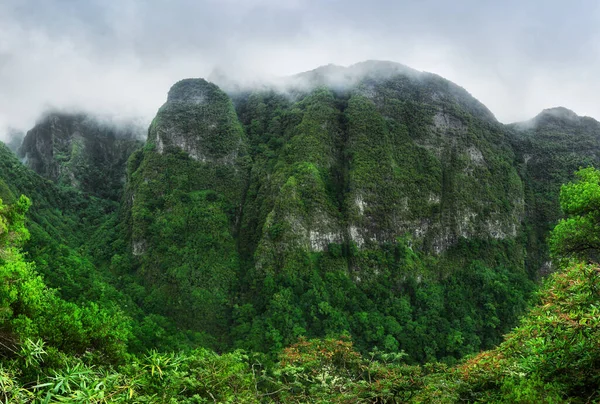 Bergregenwoud Landschap Uitzicht Bergen Route Queimadas Forestry Park Caldeirao Verde — Stockfoto