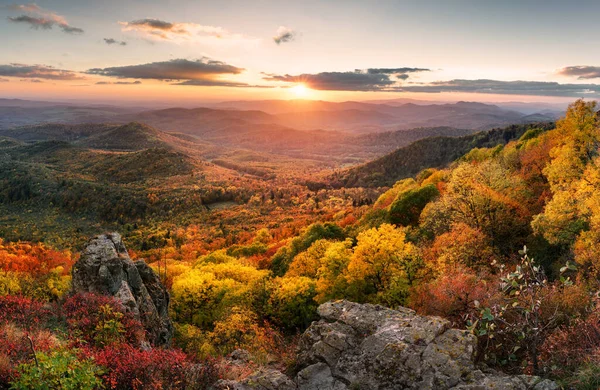 Ландшафт Заката Высокими Вершинами Долиной Осенним Еловым Лесом Ярким Красочным — стоковое фото