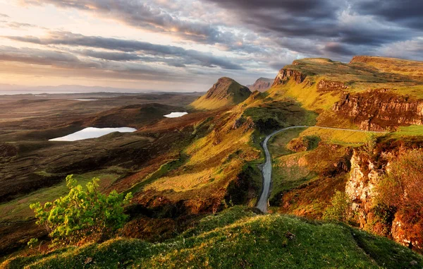 Boom Zonsopgang Landschap Schotland — Stockfoto
