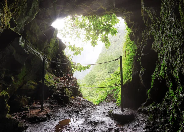 佛得角Levada Caldeirao Madeira步行远足通道隧道 — 图库照片