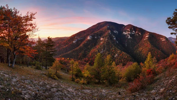 Krajobraz Panoramy Zachodzie Słońca Jesiennym Lasem Skałami Słońcem Górą — Zdjęcie stockowe