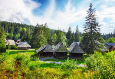 Buildings of folk architecture in the natural environment of the Orava Village Museum.