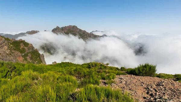 Vulkanische Berg Madeira Prachtig Zonsopgang Landschap Portugal — Stockfoto