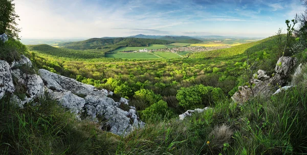 Krásná Letní Krajina Při Západu Slunce Lesem Village Town Nitra — Stock fotografie