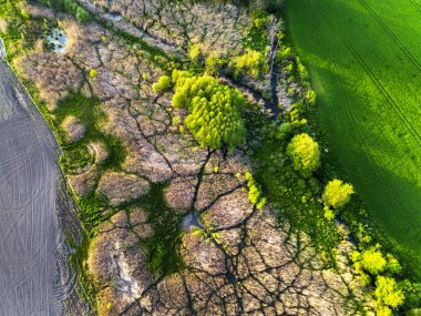 Yeşil alandaki dolambaçlı nehrin hava aracı görüntüsü. Kuş bakışı yemyeşil alanlar