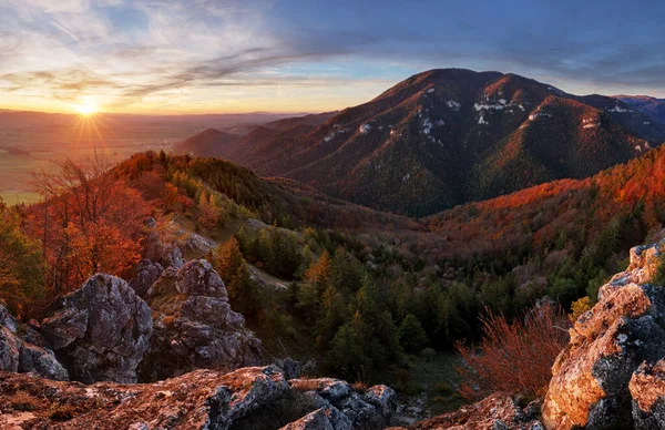 Mountain Sunset Sun Forest — Stock Photo, Image