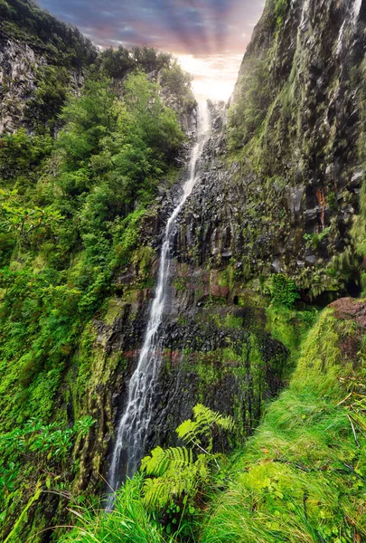 Zonsondergang Landschap Met Waterval Risco Levada Madeira Met Groene Vegetatie — Stockfoto