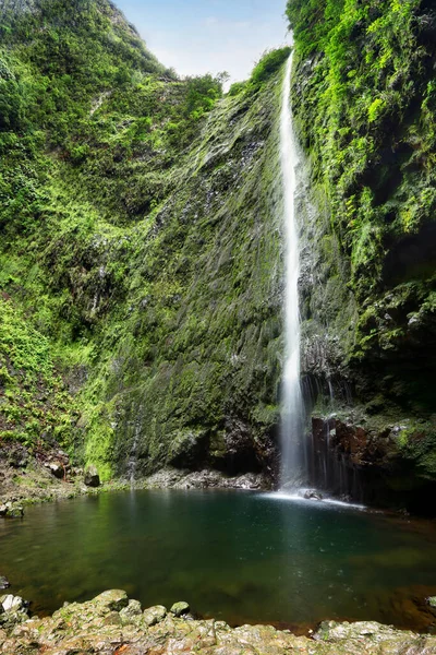 マデイラ レバダCaldeiraoヴェルデ 緑の雨の森のジャングルの終わりの美しい滝 — ストック写真