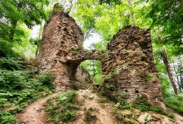 Ruin Castle Oheb Czech Republic — Stock Photo, Image