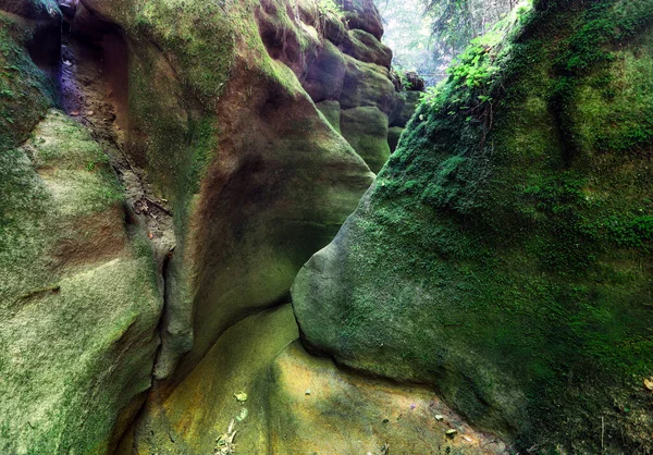 Pivnice Canyon Arenaria Nella Repubblica Ceca Vysocina — Foto Stock