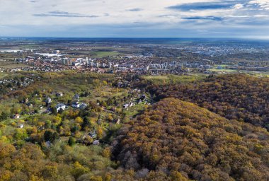 Bratislava 'daki Güz Ormanı Dağı - Raca