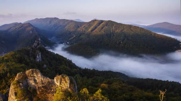 Upływ Czasu Słowacji Sułow Panorama Lasów Górskich Mgłą — Wideo stockowe