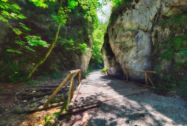 Slovakya 'nın Şeytan Kapısı adı verilen Gaderska Vadisi' nin tanıdık kısmı.