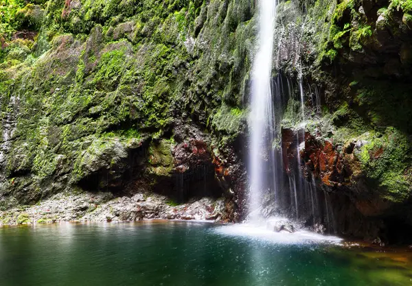 レバダの森とハイキングパスCaldeirao Verde滝トレイル マデイラ島 サンタナ ポルトガルの熱帯風景 — ストック写真
