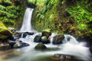 Azores 'ten güzel şelaleler - Salto do Prego, yağmur ormanlarındaki yeşil dere