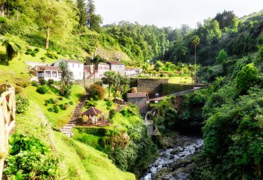 Ribeira dos Caldeiroes Sao Miguel adasındaki doğal park, Azores, Portekiz.
