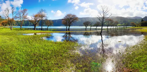 Lago Das Sete Cidades Dos Açores Com Árvore Reflexo Água Imagens De Bancos De Imagens
