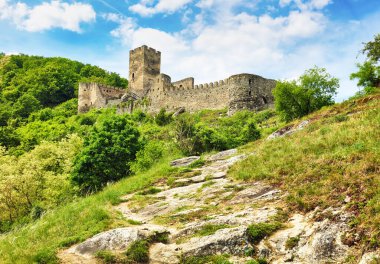 Hinterhaus Kalesi kalıntıları (Ruine Hinterhaus), Spitz, Wachau, UNESCO sitesi, Aşağı Avusturya, Avusturya