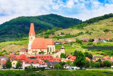 Aşağı Avusturya 'da Tuna nehri ve Weissenkirchen kasabasıyla Vaçu' ya Manzaralı Manzara.