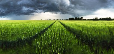 Panorama od Koyu Yağmur Bulutu Yeşil bir arazi üzerinde fırtına ve tarım manzarası