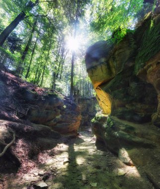 Çek Cumhuriyeti 'ndeki Kanyon