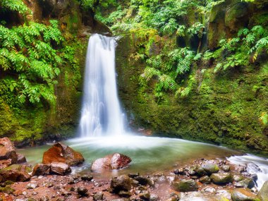 Azores, Ormandaki Şelale - Salto do Prego yağmur ormanlarında kayboldu, Sao Miguel Adası, Portekiz