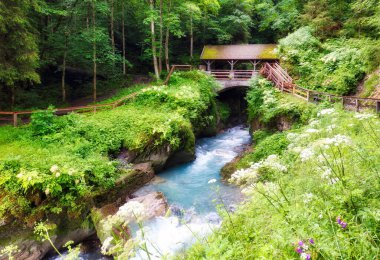 Sigmund Thun Gorge. Cascade valley canyon of wild Kapruner Ache near Kaprun, Austria. clipart