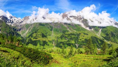 Avusturya 'daki Grossglockner Dağı' nda yaz manzarası manzarası, Hohe Tauern çiftliği.