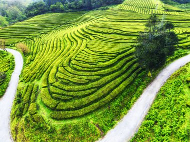 Soa Miguel, Azores, Portekiz 'deki 