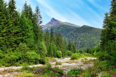 Slovakya 'nın Slovakya yüksek Tatras dağlarındaki Krivan zirvesi inanılmaz bir sembol.