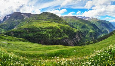 Avusturya 'daki Grossglockner Dağı' nda yaz manzarası manzarası, Hohe Tauern çiftliği.