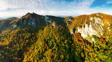 Colorful forest at sunset in autumn. Top view of mountain in woods. Beautiful landscape with  red and orange leaves in fall. Slovakia - Sulov clipart