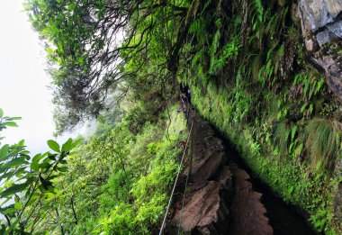 Dağ yağmur ormanı manzarası. Queimadas Orman Parkı 'ndaki dağların manzarası Caldeirao Verde. Madeira Adası, Portekiz, Avrupa.