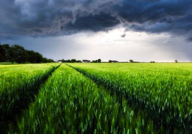 Yollu yeşil bir tarlada fırtınalı kara yağmur bulutu