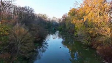 Sarı sonbahar ormanı, kıvrımlı küçük kıvrımlı nehir, güneş ışığı, üst manzara..