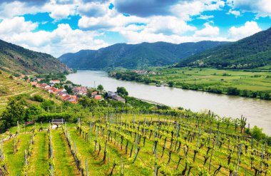 Tuna nehri ve üzüm bağlarıyla Spitz Vachau Avusturya 'daki Hinterhaus şatosundan görüntü