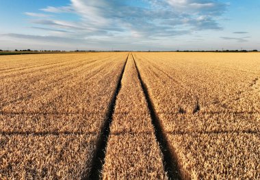 Yazın gün batımında saman balyalarının hava manzarası. Saman yığınlarının en üst görüntüsü. Tarım. Saman rulosuyla hasat üstüne tarla. Çiftlik arazisi, saman ve çayır manzarası. Tahıl hasadı, sarı buğday hasadı