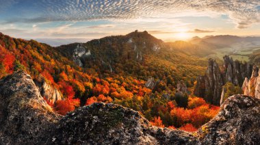 Sonbaharda günbatımında renkli bir orman. Ormandaki dağın en üst manzarası. Sonbaharda kırmızı ve turuncu yapraklı güzel bir manzara. Slovakya - Sulov