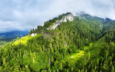 Kayalık dağdaki yeşil ormanın güzel gökyüzü manzarası