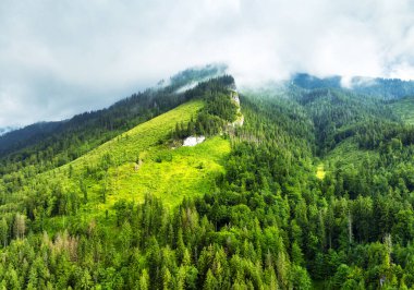 Kayalık dağdaki yeşil ormanın güzel gökyüzü manzarası