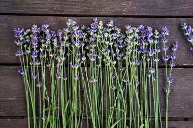 Lavander ahşap masada mor demetler