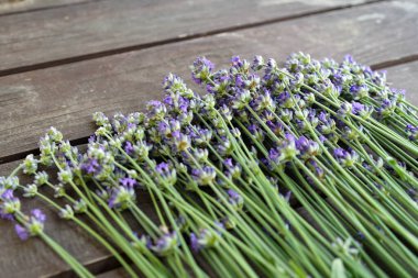 Lavander ahşap masada mor demetler