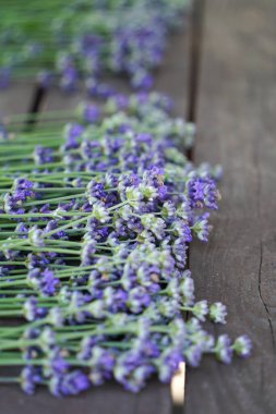 Lavander ahşap masada mor demetler