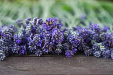 Lavander ahşap masada mor demetler