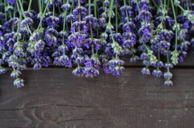 Lavander ahşap masada mor demetler