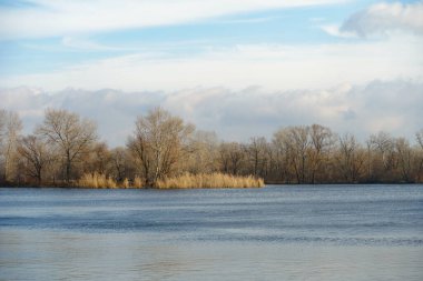 Hüzünlü sonbahar nehir manzarası Bulutlu gökyüzü